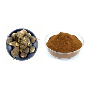 Üstün sınıf doğal organik bitkisel özü takviyesi toplu tedarik toptan Maca kök ekstresi - Product Image 1