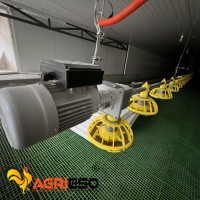 Système d'alimentation en chaîne pour poulets de chair, pondeuses et reproducteurs, équipement avicole avec moteur à engrenages Transtecno importé