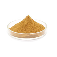 Extrait de racine de valériane en poudre de haute qualité, qualité alimentaire naturelle, 10:1 Acide valérianeique Alcaloïdes, emballage en fût