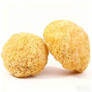 Tremella séchée de qualité supérieure, <span class=keywords><strong>champignon</strong></span> de neige et Tremella moche - Product Image 2