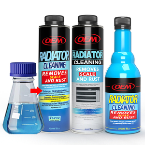 OEM/ODM Radiador Agente <span class=keywords><strong>de</strong></span> limpieza Sistema <span class=keywords><strong>de</strong></span> refrigeración Radiador <span class=keywords><strong>Limpiador</strong></span> Automotriz Motor Agua - Product Image 1