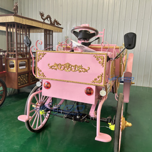Calèche de tourisme rose, véhicule électrique sans chevaux, chariot de transport spécial, calèche de mariage à vendre - Product Image 5