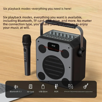 Haut-parleur de karaoké extérieur haute performance avec écran, deux micros sans fil, subwoofer portable de 6 pouces, système Android, USB/carte SD