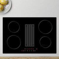 Table de cuisson à induction à 4 brûleurs intégrée Surface en céramique Contrôle tactile Haute efficacité Classe de nettoyage facile Efficacité énergétique Downdraft