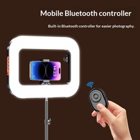 Lampe vidéo LED RVB 3 couleurs à température réglable, rechargeable, avec batterie intégrée, lumière d'appoint colorée pour diffusion en direct et photographie – Offre Spéciale