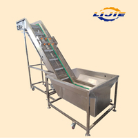 Automatische transportband luchtbellen bladgroente spuitreinigingsapparatuur fruit bubbelwasmachine tomaat appel wasmachine