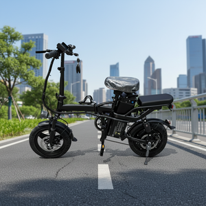 Hot <strong>Sale</strong> Electric <strong>Folding</strong> <strong>Bike</strong> Driving Electric <strong>Bike</strong> Adult Electric Bicycle - Product Image 5