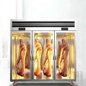 Réfrigérateur de présentation de viande à large gamme d'utilisations, congélateur vertical de qualité commerciale - Product Image 4