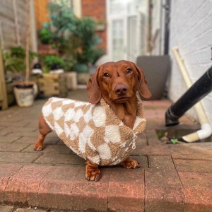 Áo khoác chó sang trọng thiết kế mới của Qiqu Pet Supplies, áo khoác chó ấm áp, áo len lông cừu cho chó, áo khoác thú cưng dành cho chó <span class=keywords><strong>dachshund</strong></span> - Product Image 1