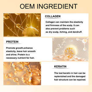 Sampo dan Kondisioner Ekstensi Rambut Protein Keratin Bebas Pewangi Sulfat dengan Logo Kustom OEM, Biotin untuk Meningkatkan Pertumbuhan Rambut - Product Image 3