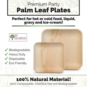 Platos de Hoja de Palma Natural de Proveedor Indio, Resistentes y Compostables para Restaurantes, Hoteles y Servicios de Alimentos, Disponibles para la Venta - Product Image 4