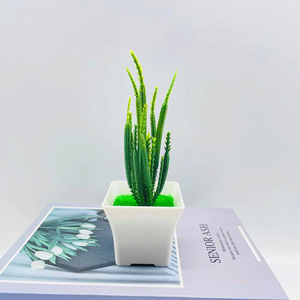 Plantas Suculentas Artificiales Qi Xing en Maceta de 10 cm, Decoración Interior de Plástico - Product Image 3