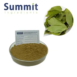 Whole Sale Epimedium Extract Powder Epimedium Extract Icariin Powder Epimedium Extract