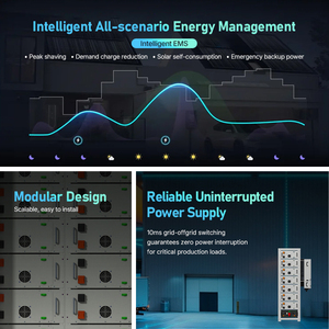 Sistema de Almacenamiento de Energía Solar VoltaNest de 100 kWh, 80 kWh, 40 kW, Conectado/Desconectado/Híbrido a la Red, Todo en Uno, Industrial, Montado en Rack - Product Image 3