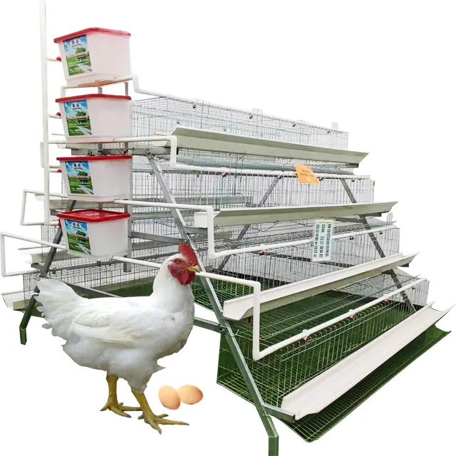 Cage de poulet de couche d'oeufs de ferme de volaille de batterie galvanisée par Offre Spéciale de 2024 pour des poules