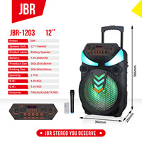Altavoz de Karaoke Portátil, Reproductor de Música, Altavoces Grandes para Fiestas al Aire Libre, Luz RGB, Altavoz de Karaoke de 12 Pulgadas con Micrófono y Bluetooth