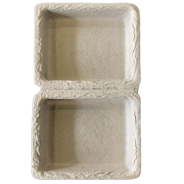 Compostable Molded Paper Pulp Box Packaging Custom Paper Pulp Tray
