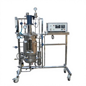 Hervidor de Reacción Industrial de 10L-500L |   Fermentador Agitado Semiautomático con Motor para Recipientes a Presión |   Estándar GMP CIP/SIP - Product Image 3