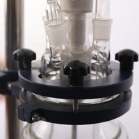 Reactor de Vidrio de Doble Capa TKA 2L de Borosilicato 3.3 con Agitación Mecánica, Rueda Universal Automática, 110V/220V para Laboratorio