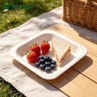 Assiette en bois jetable laminée en papier, vaisselle carrée écologique et biodégradable