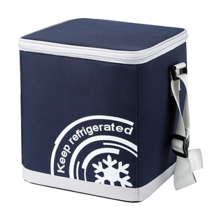 Food Safe Thermal Tote Lunch Box Insulated Cooler Bag For Camping Picnic