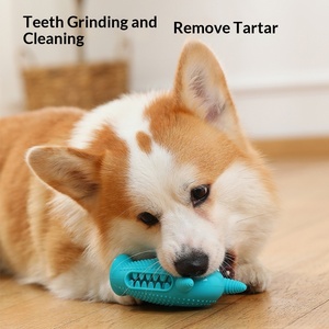 पालतू कुत्ते दांत ग्राइंडर छोटे राक्षस आवाज ध्वनि खिलौना कुत्ते टूथब्रश काटने के लिए आसान सफाई सिलिकॉन tpr सामग्री mg248 - Product Image 2