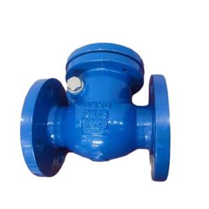 Válvula de Retención de Brazo Oscilante con Cuerpo de Hierro Fundido DIN PN16 - Product Image 6