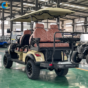 Vehículo de Golf Robetaa de Diseño Moderno 2026, Buggy Homologado para Carretera, Carro de Golf Turístico para 6 Personas - Product Image 2