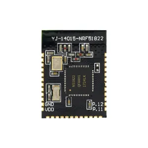 Módulo de chip inalámbrico Holyiot Odm Módulo receptor Bluetooth Fabricante Módulo Bluetooth Hid nRF51822