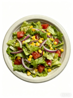 Assiettes à salade en fibre de coque de riz écologiques pour restaurants, logo personnalisé, biodégradables, recyclables, jetables, utilisables au micro-ondes