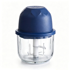 Broyeur d'ail électrique Weili 250 ml, deux lames, rechargeable, hachoir automatique pour ail, pâte de chili, aliments pour bébés - Product Image 1
