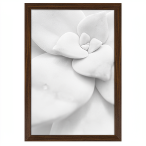 Ensemble de 2 cadres <span class=keywords><strong>photo</strong></span> en bois de chêne, MDF, <span class=keywords><strong>verre</strong></span> <span class=keywords><strong>acrylique</strong></span> incassable, <span class=keywords><strong>impression</strong></span> UV, 2 couleurs, pour accrocher, salon, chambre, bureau, photos - Product Image 2