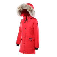 2022 hiver doudoune dames chaud à capuche coton rembourré vêtements femmes mince longue vers le bas hiver vestes femmes manteaux