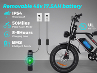 Vélo électrique tout-terrain à pneus larges de 20 pouces, livraison rapide depuis l'entrepôt UE/USA, cadre rétro, batterie amovible, homologué CE/UKCA
