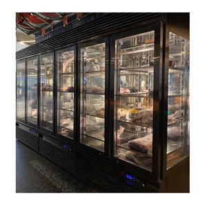 Refrigerador para Maduración en Seco de Carne de Res, Refrigerador para Maduración de Carne - Product Image 1