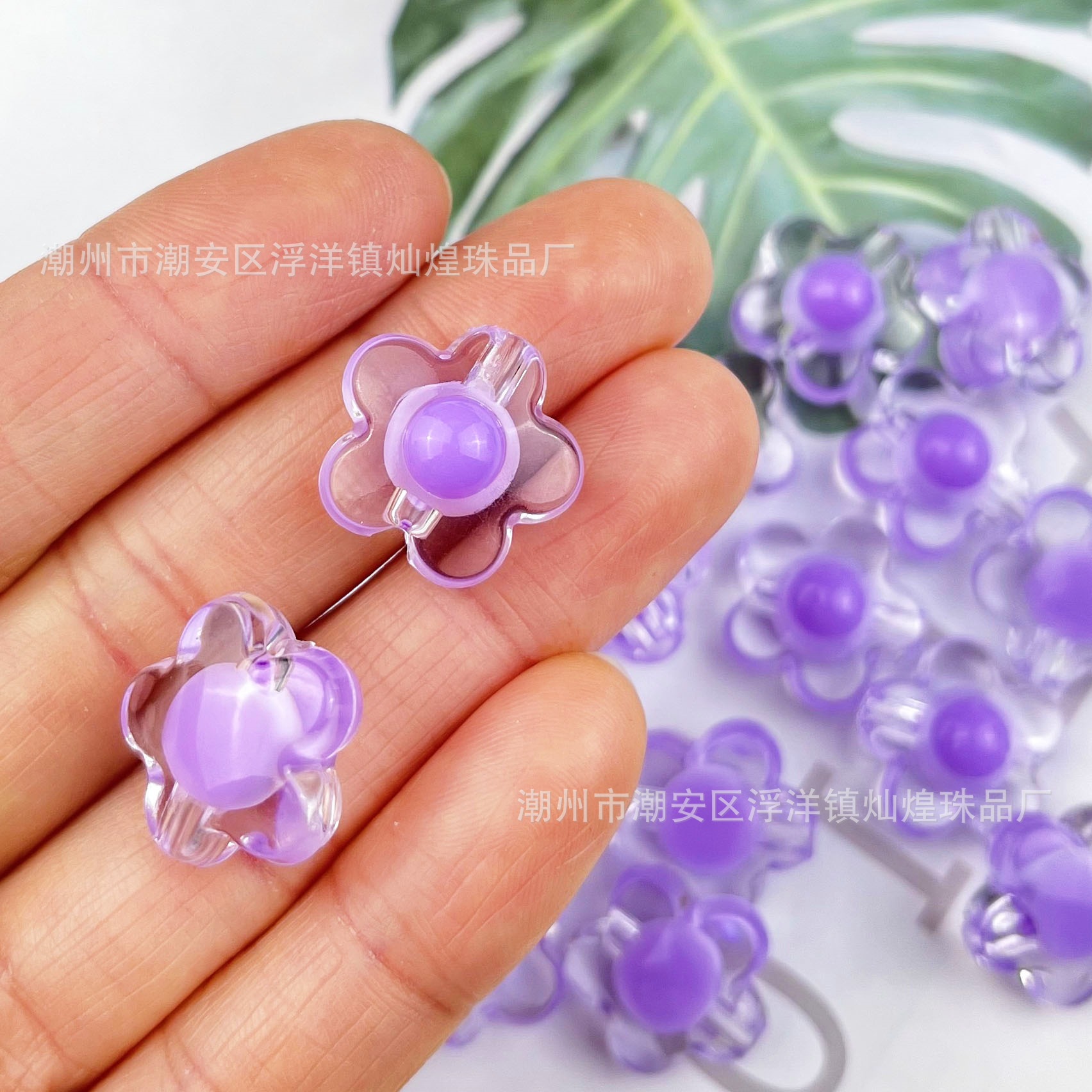 Pearl of Pearls, Large Plum Blossom Purple