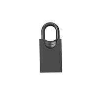 Clé USB miniature en métal de luxe en forme de cadenas, interface USB 2.0/3.0, logo personnalisé, porte-clés pour coffret cadeau, garantie 1 an