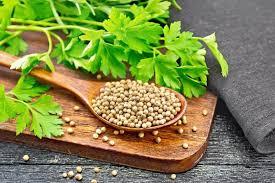 น้ำมันหอมระเหยผักชีบริสุทธิ์100% คุณภาพระดับพรีเมียมส่งตรงจากผู้ผลิตอินเดีย - Product Image 4