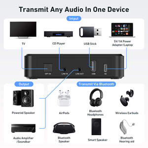 <span class=keywords><strong>Mini</strong></span> Arylic BT10 Bluetooth Preamplifier Receiver Spotify kết nối Streamer để sử dụng nhà - Product Image 2