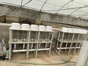 <span class=keywords><strong>Ecowater</strong></span> Hatchery Gläser Set Fisch Inkubation werkzeug MacDonald Jars Einheit - Product Image 5