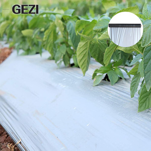 <span class=keywords><strong>Film</strong></span> de paillage pré-perforé pour l'agriculture des fraises, couverture plastique avec trous de plantation, épaisseur 0,02 mm, <span class=keywords><strong>film</strong></span> de paillage noir - Product Image 4