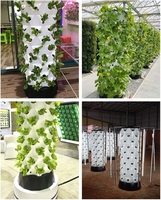 Hydroponisch plantsysteem voor de landbouw, bodemloze teelt, commerciële ananas-kweektoren