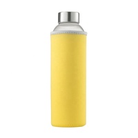 Bouteille d'Eau Sous Zéro 16 oz, en Verre, Anti-fuite avec Bouchon en Acier Inoxydable – Prix Usine