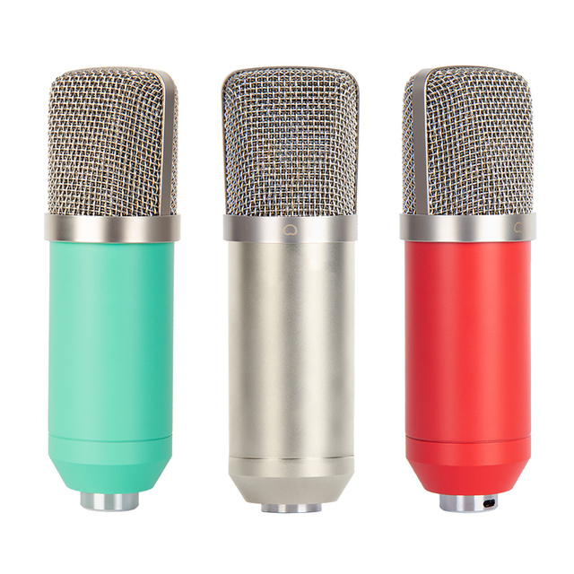 EM001 Professional Studio Condenser Microphone High Sensitivity Recording Mic for Vocals & Instruments