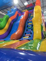 Maison gonflable combinée de rebond avec toboggan Funcity à vendre Château plein d'entrain personnalisé en PVC de haute qualité