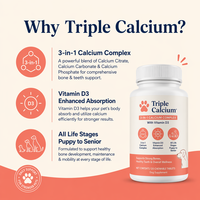 Complément Triple Calcium pour Chiens – Comprimés de Soutien à la Croissance Osseuse 500mg Vitamine D3 – Chiots et Animaux Âgés – 100 Comprimés – Vente en Gros