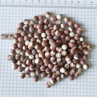 Noix de renard (fruit de Gorgone) |   Thé aux herbes pour le bien-être de la rate et des reins |   Sans caféine |   Graines d'Euryale Ferox séchées en vrac |   OEM