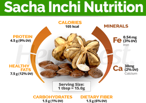 Poudre de protéines de Sacha Inchi fournie par l'usine |   Protéine végétale végétalienne en vrac de Plukenetia <span class=keywords><strong>Volubilis</strong></span> 60% de qualité alimentaire, extrait à base de plantes en bouteille - Product Image 6