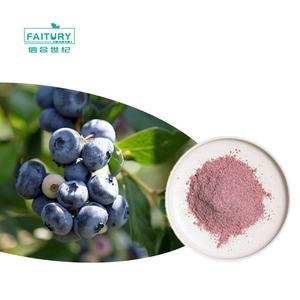 Faitury, venta al por mayor, arroz negro, arándano, arándano, semillas de uva, extracto de arándano, polvo de antocianinas puras de grado alimenticio - Product Image 1