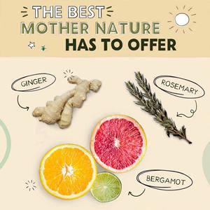 新着ペットシャンプー オーガニック ウォーターレス ドライ ドッグシャンプー 水洗い不要 pHバランス調整 臭い除去 ドッグドライシャンプー 消臭スプレー - Product Image 2